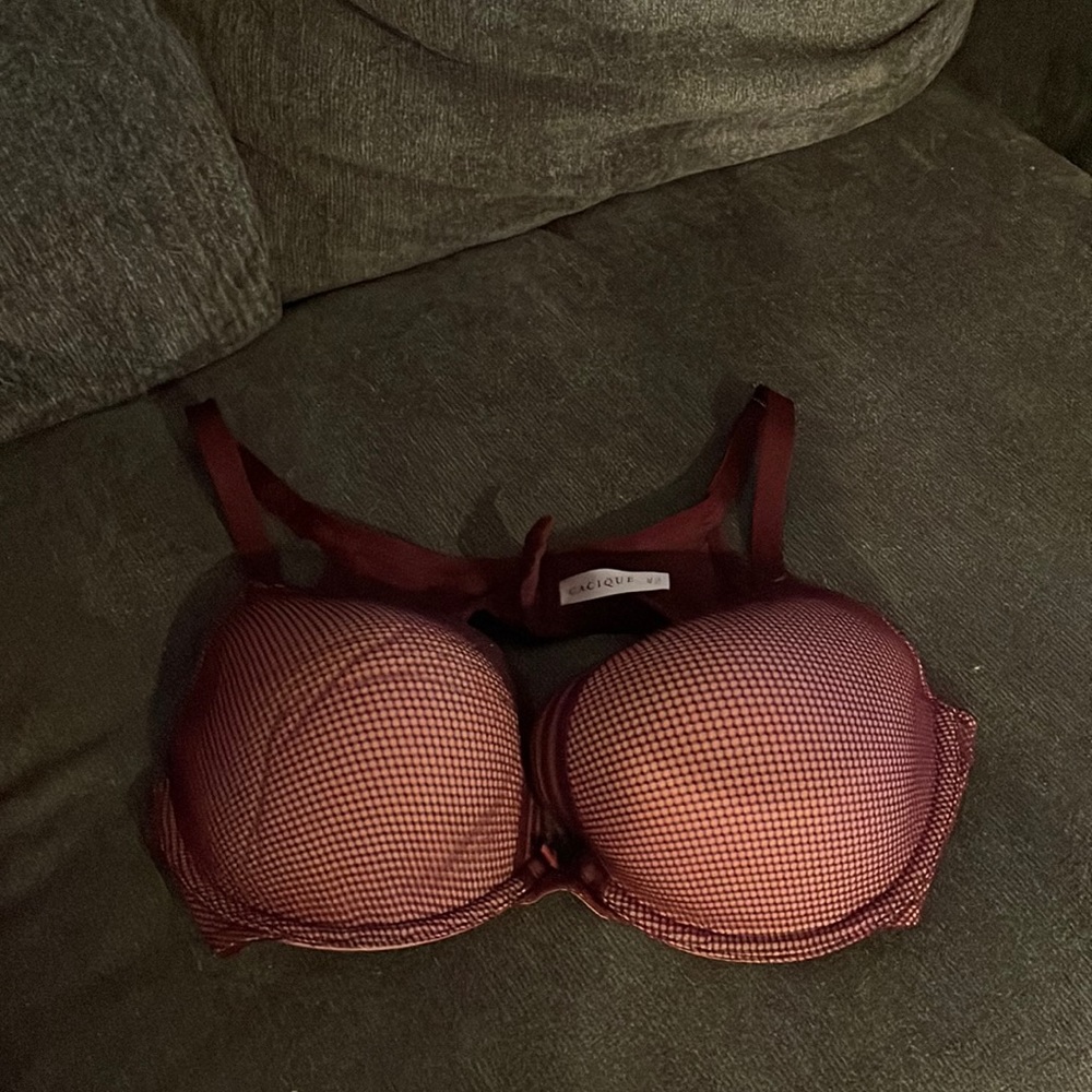 Maroon Color Cacique Bra